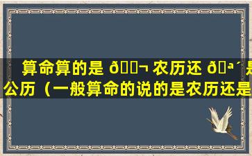 算命算的是 🐬 农历还 🪴 是公历（一般算命的说的是农历还是阳历）